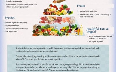 Anti-Lectin Diet for Super-Longevity, Reduced Pain and More