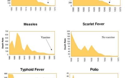 Vaccine Science Is Far From Settled